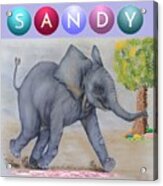 Sandy The Elephant Acrylic Print