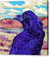 Santa Fe Raven Acrylic Print