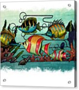 School Of Fish Acrylic Print