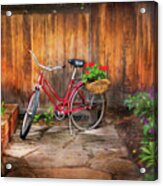 Schwinn Flower Garden Bicycle Acrylic Print