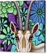 Scimitar Horned Oryx Floral Acrylic Print
