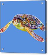 Sea Turtle 3 - Solid Background Acrylic Print
