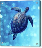 Sea Turtle Bubbly Blues Acrylic Print