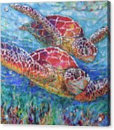 Sea Turtle Buddies Iii Acrylic Print
