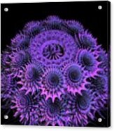 Sea Urchin Acrylic Print