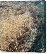 Sea Water And Rocks In A Cove On The Mediterranean Coast Acrylic Print