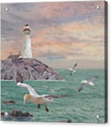 Seabirds At Rocky Point Lighthouse Acrylic Print