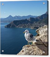Seagull Watches The Mediterranean Sea In Spain Acrylic Print