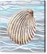 Seashell On Teal Blue Beach House Nautical Painting Decor Ii Acrylic Print