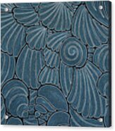 Seashells Designs - Blue Seashells Acrylic Print