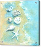 Seashells On The Beach I Acrylic Print