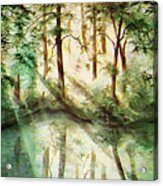 Secret Places Four Acrylic Print