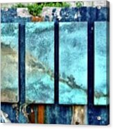 See Wall Acrylic Print