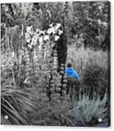 Selectively Blue Garden Visitor Acrylic Print