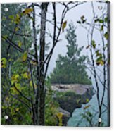 Sentinel Cedar At Cave Point And A Droplet-bedazzled Spiderweb - Door County Wisconsin Acrylic Print