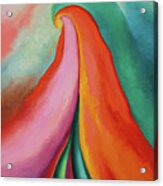 Series I. No 1 - Vivid Colorful Abstract Modern Painting Acrylic Print