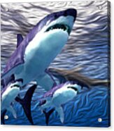 Shark Tank 6 Acrylic Print