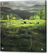 Sheep Of Norwich Vermont Acrylic Print