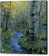 Sherwin Creek Twilight, Mammoth Lakes, California Acrylic Print