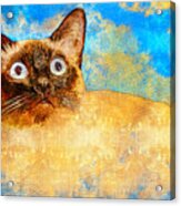 Siamese Cat With A Worried Expression - Digital Painting Acrylic Print
