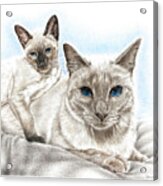 Siamese Cats Acrylic Print