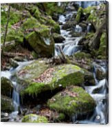 Side Waterfall 2 Acrylic Print