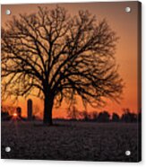 Silohenge Sunrise 1 Of 2 - Sunrise Aligned With Farm Silos And Majestic Oak Tree Acrylic Print