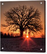 Silohenge Sunrise 2 Of 2 - Sunrise Aligned With Farm Silos And Majestic Oak Tree Acrylic Print
