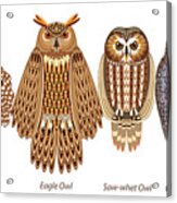 Six Owl Lineup Acrylic Print