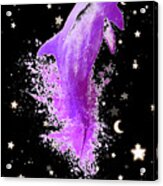 Sky Dolphin Night Acrylic Print