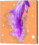 Sky Dolphin Sunset Acrylic Print