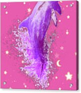 Sky Dolphin Sunrise Acrylic Print