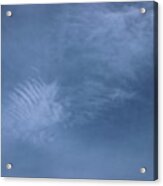 Sky Feather Acrylic Print