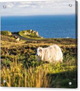 Slieve League's Cliffs, Northern Ireland Acrylic Print