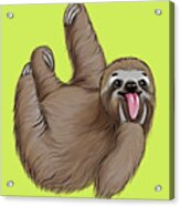 Sloth Rock Acrylic Print