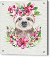 Sloth With Flowers Acrylic Print