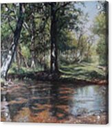 Small New Forest Stream In Summer Acrylic Print