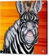Smiling Zebra In Orange Acrylic Print