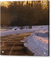 Snow Lined Trexler Park Pathway Acrylic Print