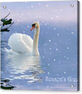 Snow Swan Ii Acrylic Print