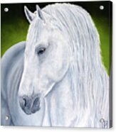 Snowmane Acrylic Print