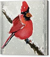 Snowy Cardinal Acrylic Print