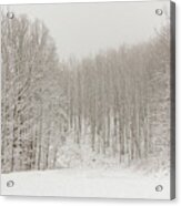 Snowy Winter Forest Acrylic Print