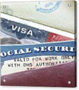 Social Security Card Acrylic Print