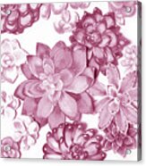 Soft Pink Succulent Plants Garden Watercolor Interior Art Ix Acrylic Print
