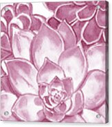 Soft Pink Succulent Plants Garden Watercolor Interior Art Vi Acrylic Print
