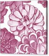 Soft Pink Succulent Plants Garden Watercolor Interior Art Vii Acrylic Print
