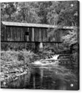 Southern Gem Iii In Black And White Acrylic Print