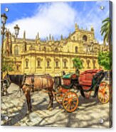 Spanish Horse Carriage Seville Acrylic Print