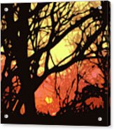 Spectacular Sunset Acrylic Print